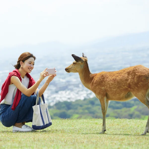 奈良公園で鹿に向かってカメラを構える女性 — 奈良を訪れる人と地域の風景
